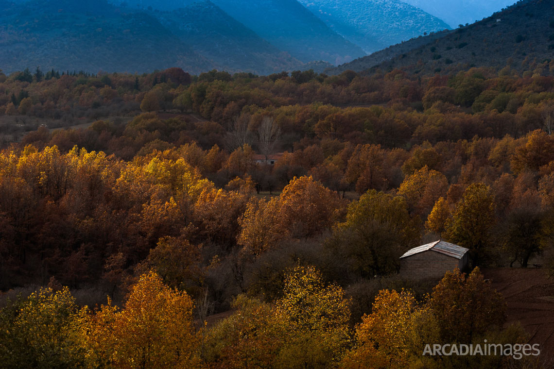 Autumn colors at Dara's plain. Arcadia, Peloponnese, Greece