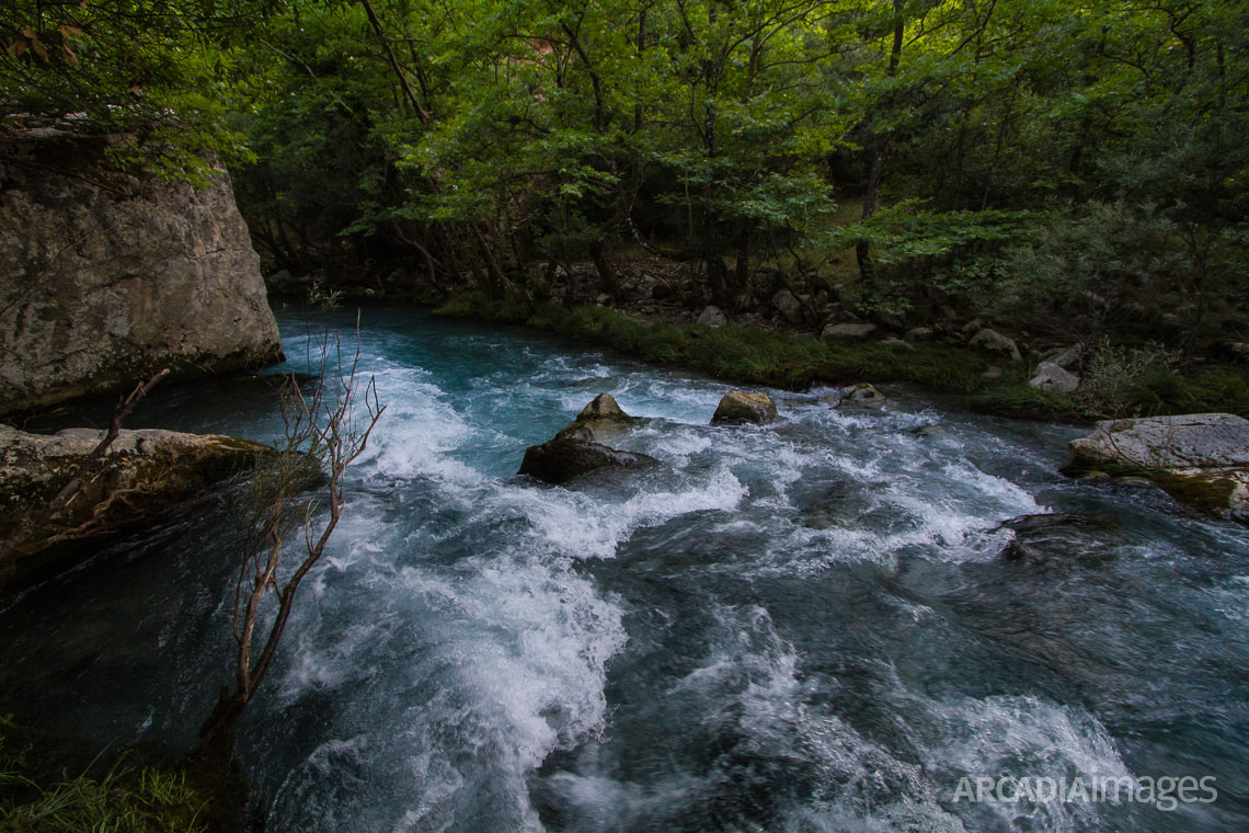 The rushing waters of Lousios river, Arcadia, Peloponnese