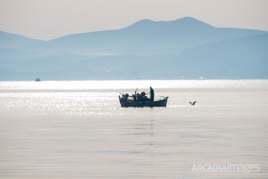Φωτογραφικό Έργο η Παρέα του Ψαρά - Θεόδωρος Παπαγεωργίου