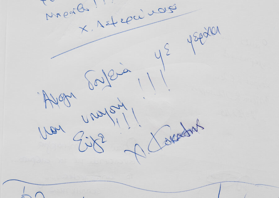 Άψογη δουλειά με μεράκι και υπομονή - Θοδωρής Παπαγεωργίου
